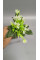 Пластиковий букет "дзвіночок"/ Висота 20 см/білий
