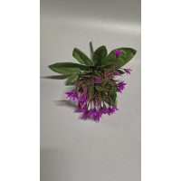 Пластиковый букет "колокольчик" / Высота 20 см / малиновый