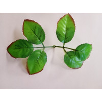 Листочок під троянду/довжина  20 см