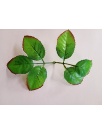 Листочок під троянду/довжина  20 см