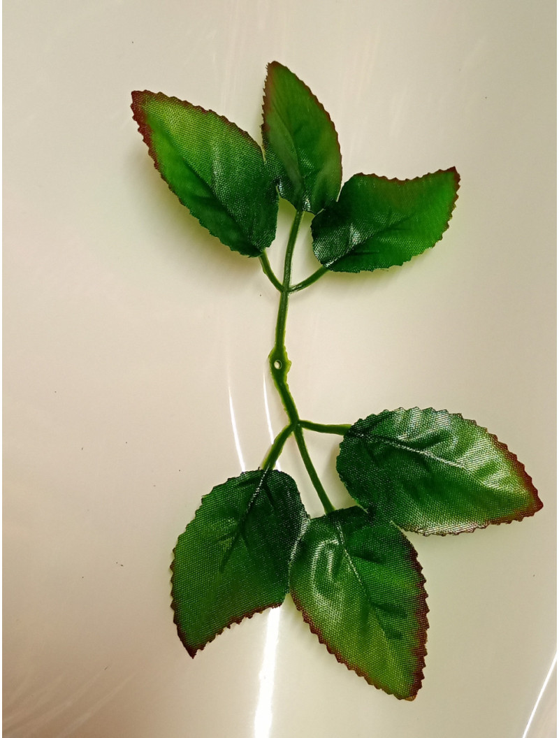 Листочок під троянду/довжина листа 18.5 см