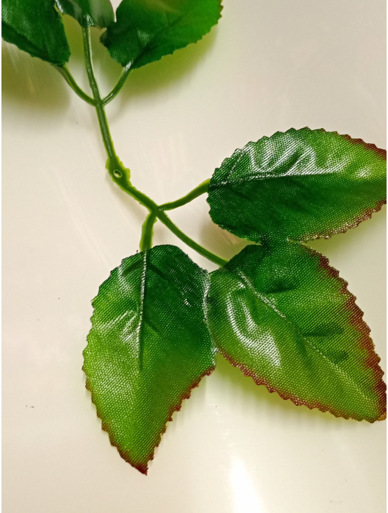 Листочок під троянду/довжина листа 18.5 см