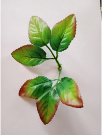 Листочок під троянду/довжина листа 18.5 см