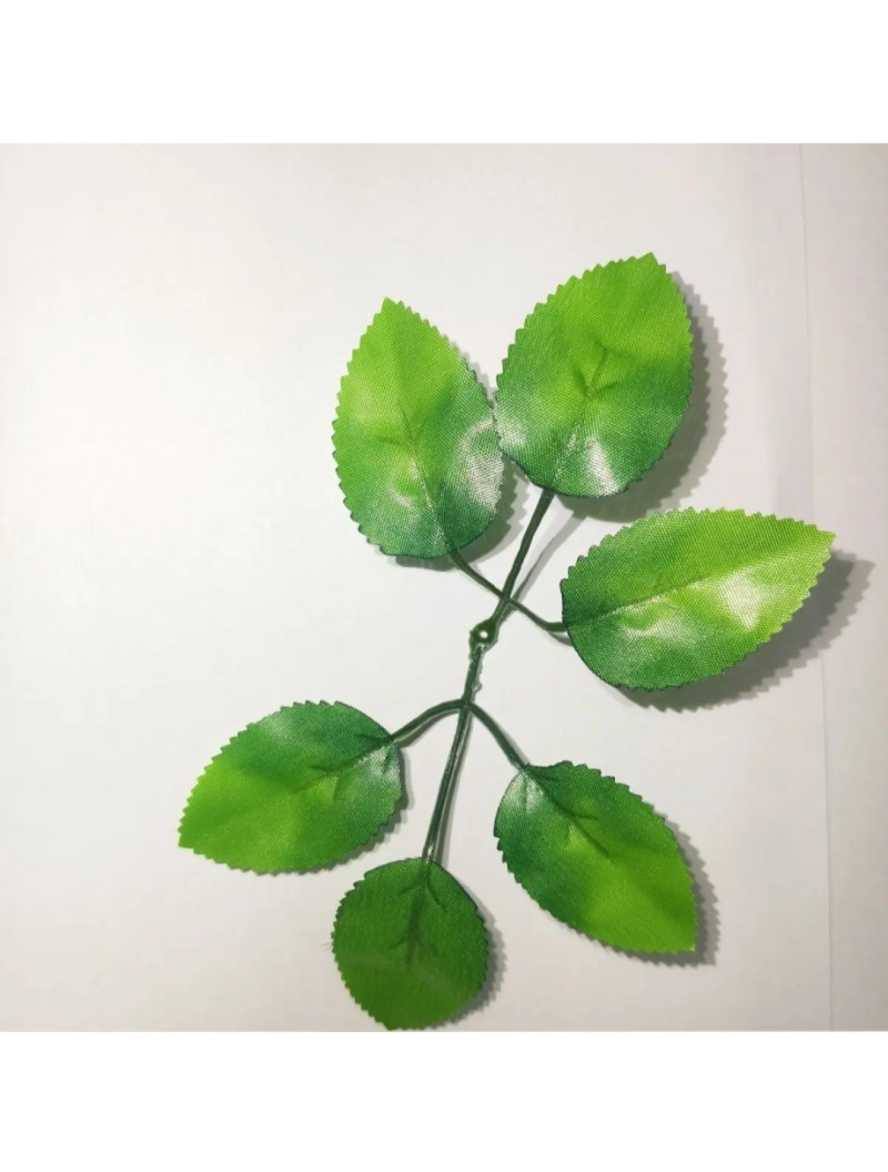 Листочок під троянду/довжина листа 20 см