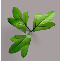 Листок півонії / діаметр 18 см/