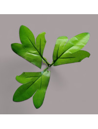 Листок півонії / діаметр 18 см/