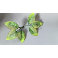 Листик под розу / длина  19 см