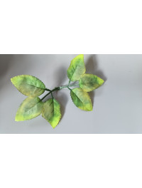 Листочок під троянду/довжина 19 см