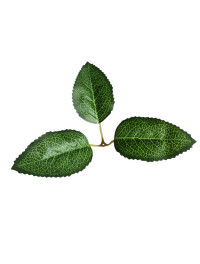 Штучний аркуш "трилисник"/18 см/1 шт.