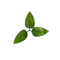 Искусственный лист под розу/17 см/1 шт/