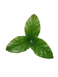 Штучний лист  підставки/13 см/1 шт./Альтан