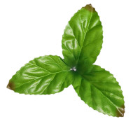 Искусственный лист с красными кончиками/ 12.5 см / цена за 1 лист
