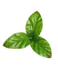 Искусственный лист с красными кончиками/ 12.5 см / цена за 1 лист