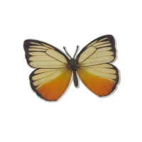 Метелик пластик/9*12 см/1 шт.