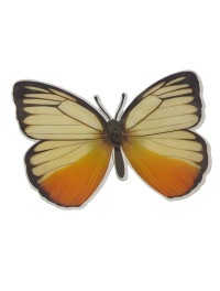 Метелик пластик/9*12 см/1 шт.