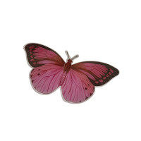 Бабочка пластик / 5*9.5 см / 1 шт / малиновый