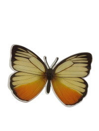 Метелик пластик/5.5*7.5 см/1 шт./72. жовтогарячий