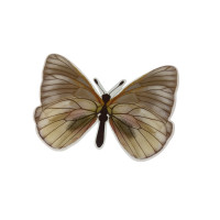 Метелик пластик/6*8.5 см/1 шт./кольоровий