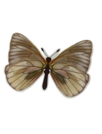 Метелик пластик/6*8.5 см/1 шт./кольоровий