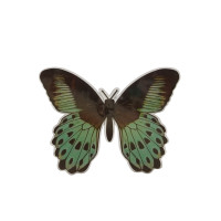 Метелик пластик/10*12.5 см/1 шт./гментол