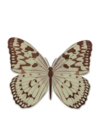 Метелик пластик/11*13 см/1 шт./кольоровий