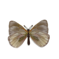 Бабочка пластик /  10*13  см / 1 шт / цветной