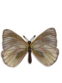 Метелик пластик/10*13 см/1 шт./кольоровий