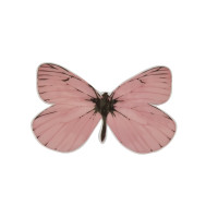 Бабочка пластик /  9*13.5  см / 1 шт / розовый