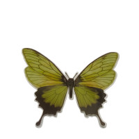 Бабочка пластик / 11.5*14  см / 1 шт / салатовый
