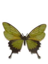 Метелик пластик / 11.5*14 см / 1 шт. / салатовий
