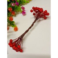 Калина глянець/7-8 мм/25 пучків 50 ягідок/червоний