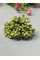 Тичинка "незабудка"/ оливка/ціна за букет 12 гілочок