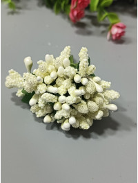 Тичинка "незабудка"/молинний/ ціна за букет 12 гілочок