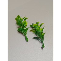 Зелень самшиту / 10 шт / 5 см