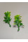 Домішка зелені з квіткою/5 шт./5 см/біло-салатовий