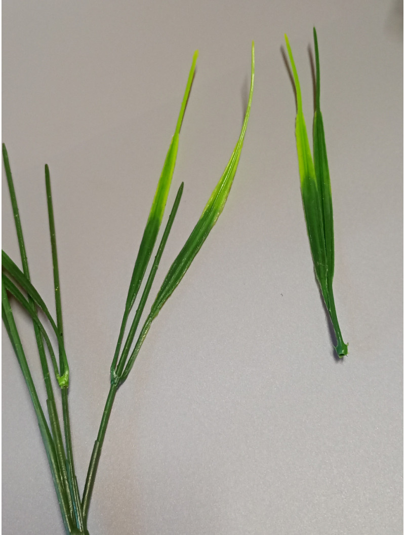 Зелень / 10 шт / 15 см